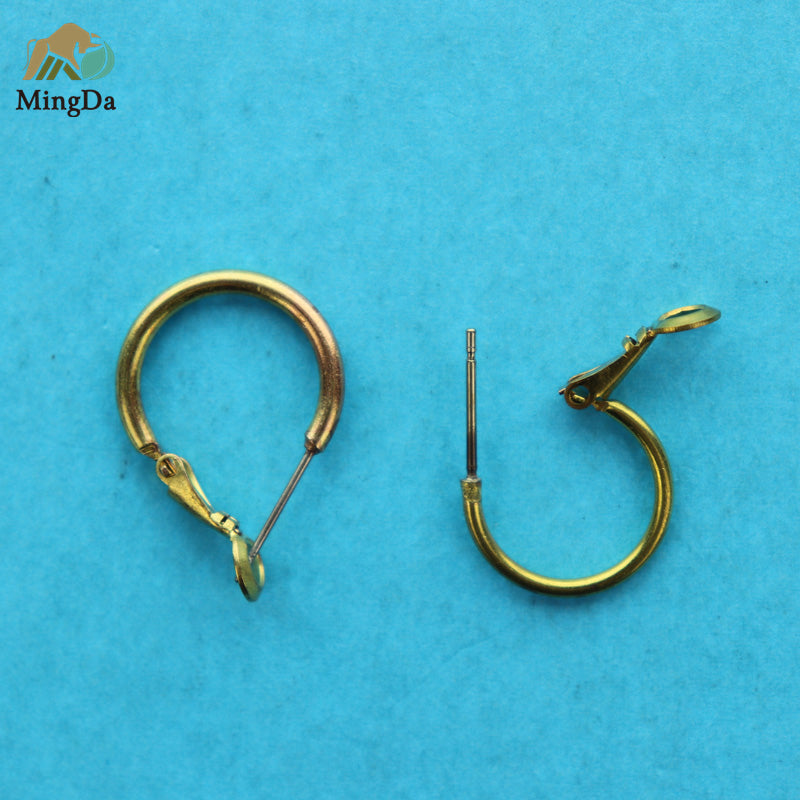 Earring Hoop
